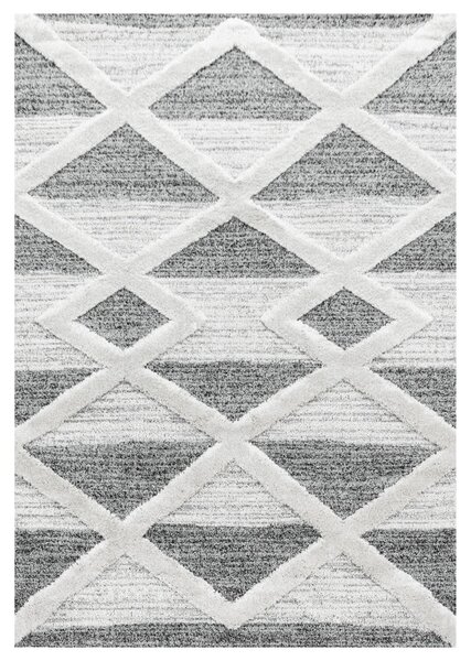 Covor Pisa Gri V7 60x110 cm