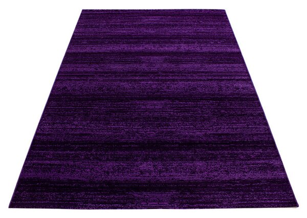 Covor Plus Lila V1 140 x 200 cm
