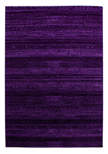 Covor Plus Lila V1 140 x 200 cm