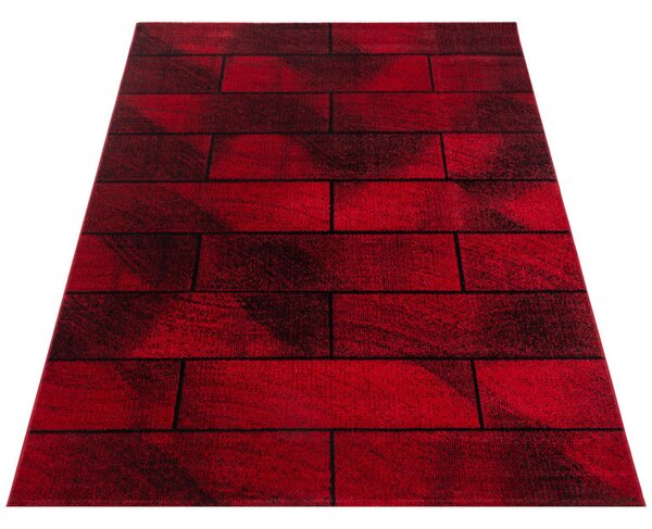 Covor Beta Rosu V1 240x340 cm