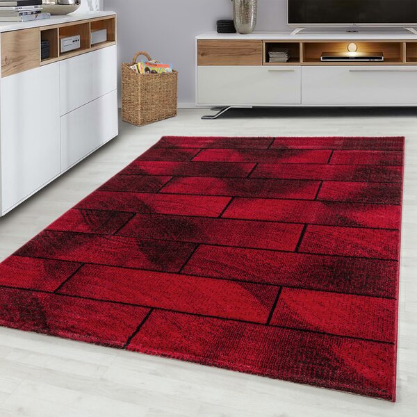 Covor Beta Rosu V1 240x340 cm
