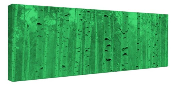 Tablou fosforescent Padure de mesteacan