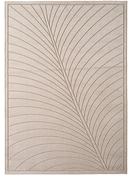 Covor Nova V4 Bej, 120 x 170 cm