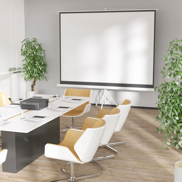HOMCOM Ecran Proiector de 120" Format 4:3 din Tesatura Tip Plasa, Plastic si Metal cu Trepied, 244x183 cm, Alb | Aosom Romania