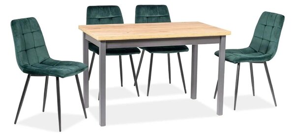 Scaun tapitat MILA, verde/negru, stofa catifelata/metal, 45x41x86 cm