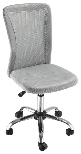 Vinsetto Scaun de Birou Ergonomic Fără Cotiere din Țesătură tip Plasă Gri | Aosom Romania