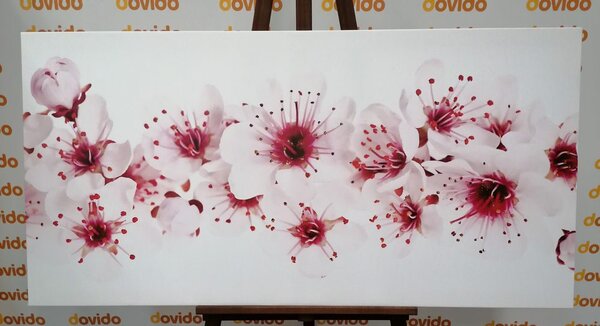 Tablou flori de cires