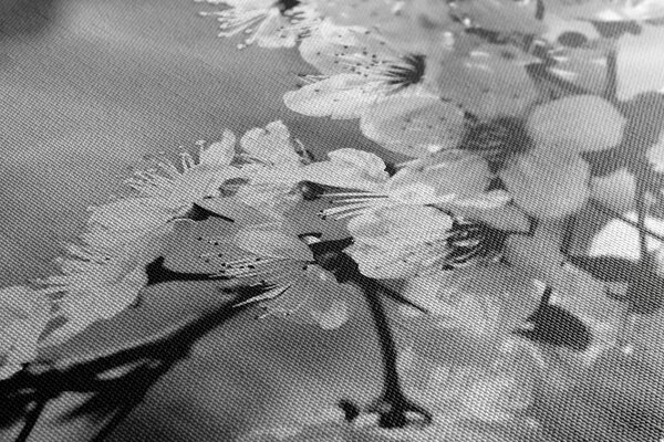 Tablou floare de cires alb-negru