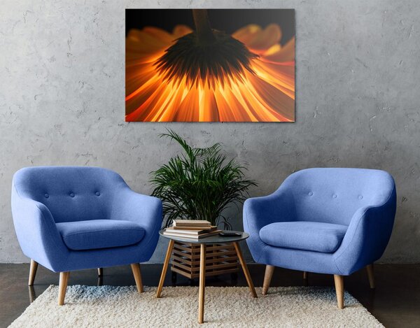Tablou gerbera pe fundal închis