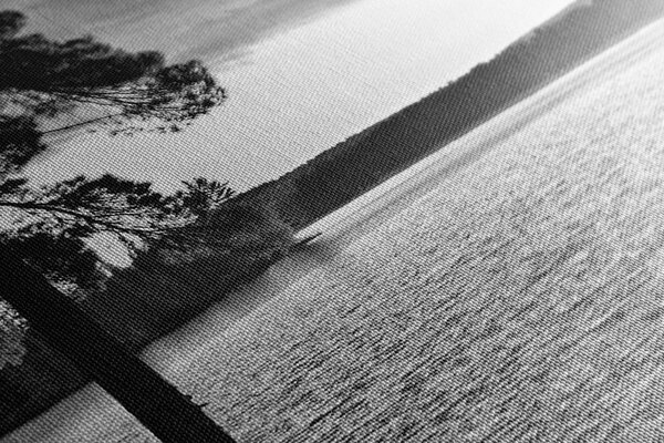 Tablou lac de munte alb-negru