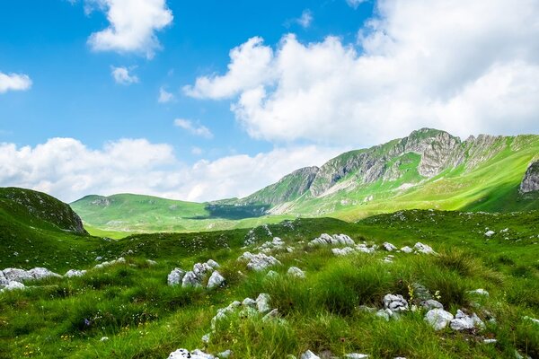 Tablou vale în Muntenegru