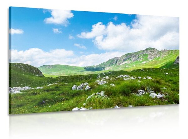 Tablou vale în Muntenegru