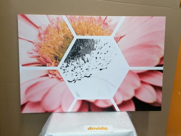 Tablou gerbera în hexagon