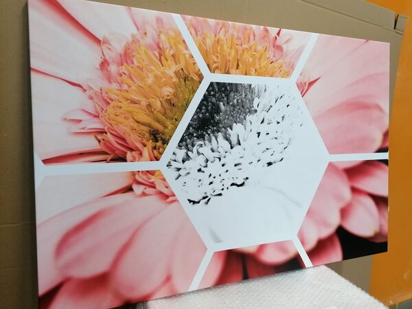 Tablou gerbera în hexagon