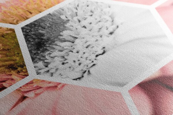 Tablou gerbera în hexagon