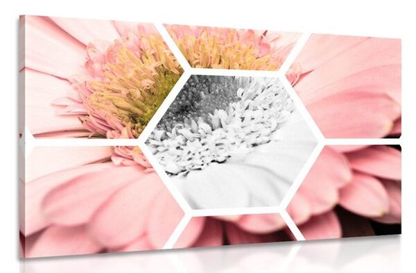 Tablou gerbera în hexagon