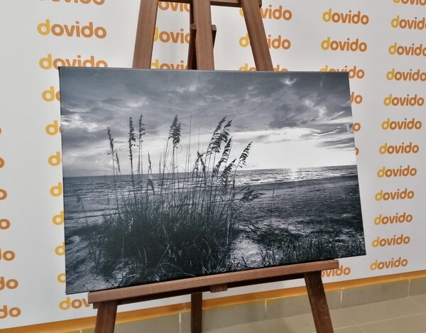 Tablou apus de soare pe plajă alb-negru