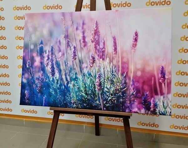Tablou magicele flori de lavandă