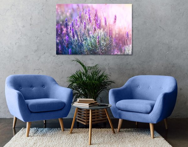 Tablou magicele flori de lavandă