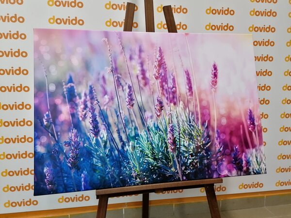 Tablou magicele flori de lavandă