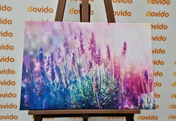 Tablou magicele flori de lavandă