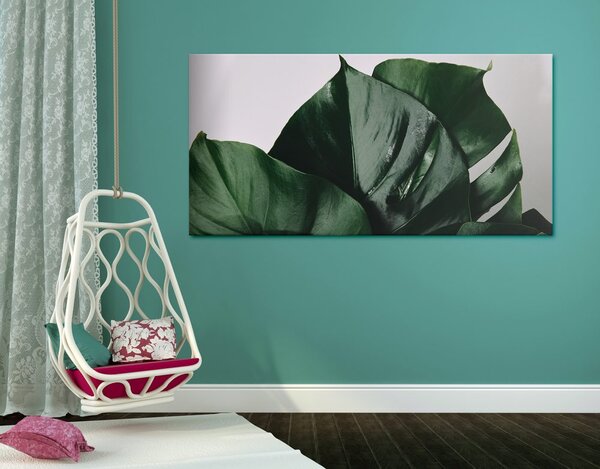 Tablou frunză de philodendron
