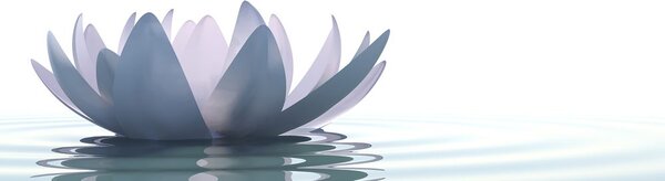 Tablou floare de lotus