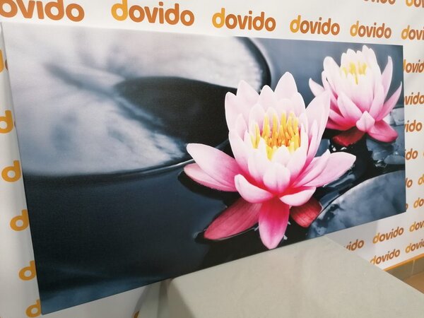 Tablou floare de lotus pe lac