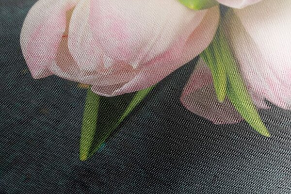 Tablou lalele în culori roz pastel