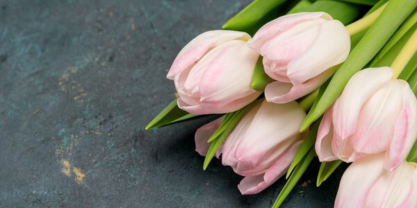 Tablou lalele în culori roz pastel