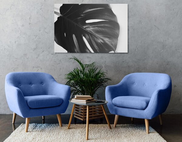 Tablou frunză de philodendron alb-negru