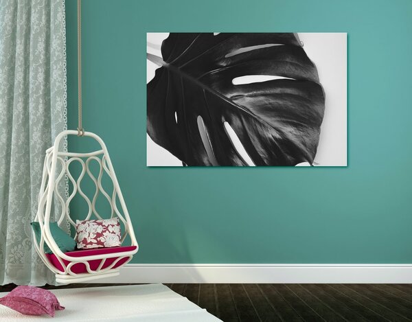 Tablou frunză de philodendron alb-negru