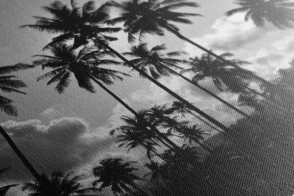 Tablou palmieri de cocos pe plajă alb-negru