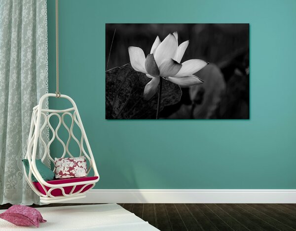 Tablou floare de lotus fină alb-negru