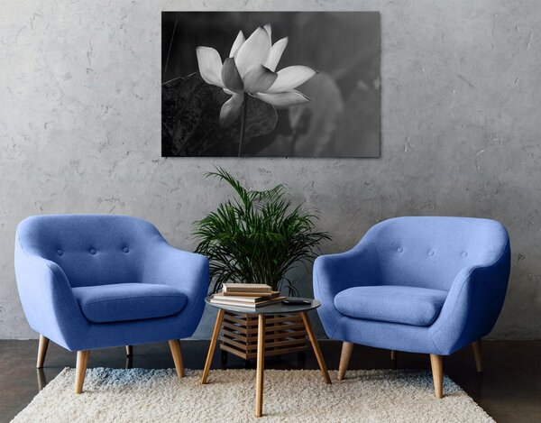 Tablou floare de lotus fină alb-negru