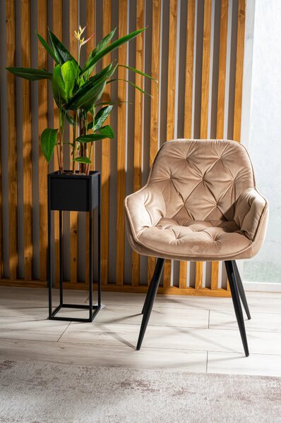 Scaun tapitat modern CHERRY, bej/negru, stofa catifelata/metal, 57x58x