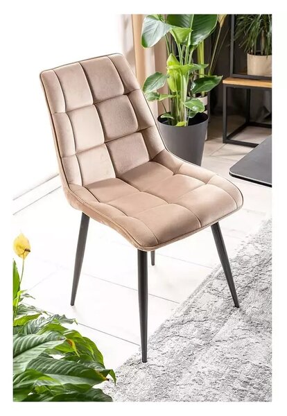 Scaun tapitat stofa CHIC, bej, catifea/metal, 50x58x88 cm
