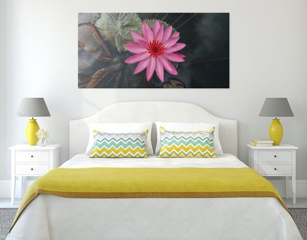 Tablou floare de lotus magnifică
