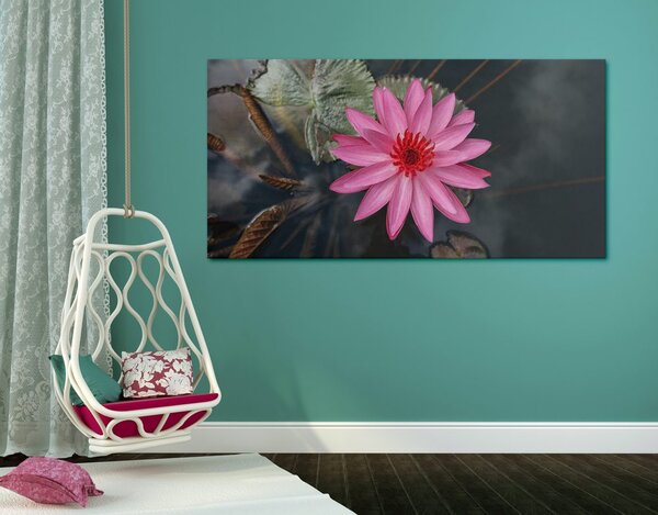 Tablou floare de lotus magnifică