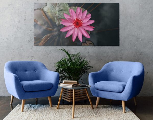 Tablou floare de lotus magnifică