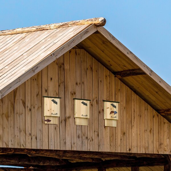 PawHut Set de 3 Adăposturi pentru Liliac din Lemn de Brad pentru Exterior, 25x6x37.5 cm, Lemn Natural | Aosom Romania