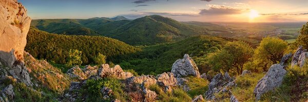 Tablou natura scufundată în soare