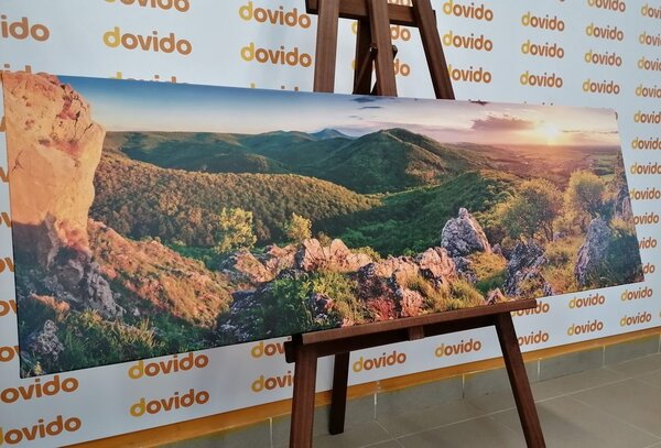 Tablou natura scufundată în soare