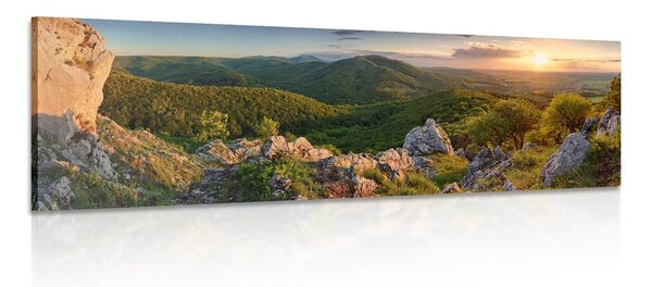 Tablou natura scufundată în soare
