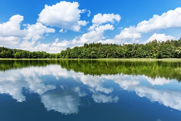 Tablou natura în timpul verii
