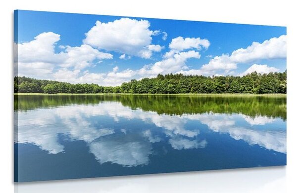 Tablou natura în timpul verii