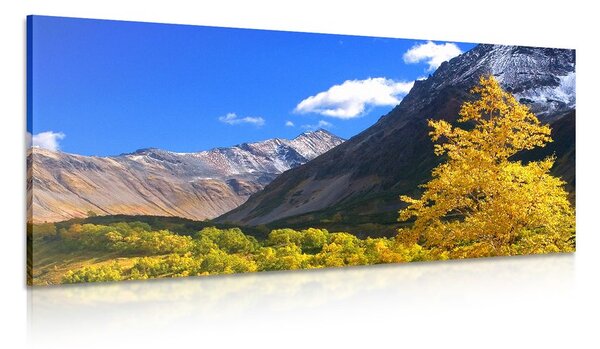 Tablou natură fenomenală Kamceatka în Rusia