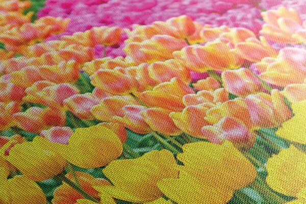 Tablou lalele multicolore