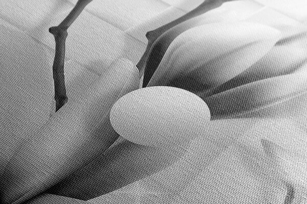 Tablou magnolie cu elemente abstracte alb-negru