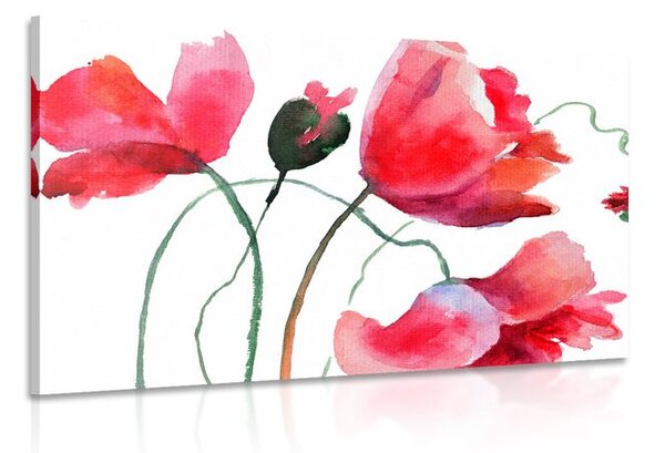 Tablou flori de mac inedite